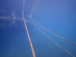 水の中から見たロープと人工物