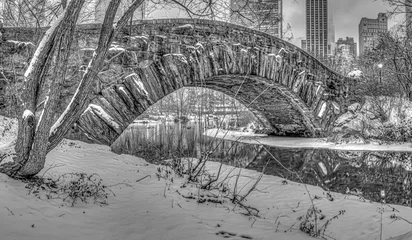 Foto op Plexiglas Gapstow Brug Gapstow Bridge in Central Park, early morning