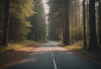 Obraz premium Beautiful tree lined road in the Tunnel of Trees on a drive through Emmet County from Harbor Springs