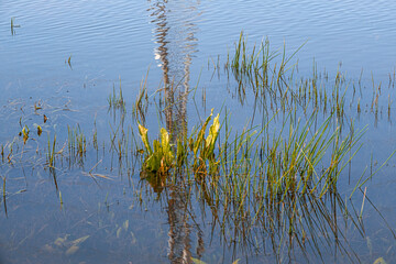 View of the Big Winter Pool after heavy rains in January 2024, Herzliya Park, Herzliya city, Israel 