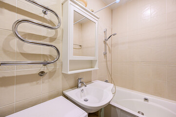 interior apartment room bathroom, sink, decorative elements, toilet. WC, sanitary unit, wash room