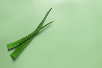 Fresh aloe vera leaves on light green background, flat lay. Space for text