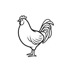 Chicken Rooster Egg Vector