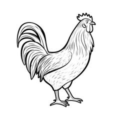 Fototapeta na wymiar Chicken Rooster Egg Vector