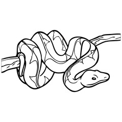 snake line vector illustration