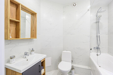 interior apartment room bathroom, sink, decorative elements, toilet. WC, sanitary unit, wash room