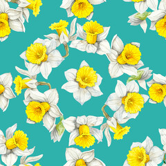 Watercolour daffodils spring flowers wreath illustration seamless pattern. On blue green background. Hand-painted. Botanical Floral elements. For interior print decoration, fabric, wrapping, crafting.