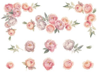 Set of soft pink watercolor roses. PNG transparent design element. Ai generated
- 734889816