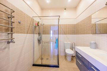 interior apartment room bathroom, sink, decorative elements, toilet. WC, sanitary unit, wash room