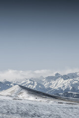 winter mountain landscape. lonely tree in front of snowcapped mountain range