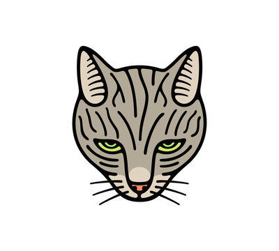 Cat, cat looking, cat face and cat is watching. Animal and pet, kitten or catlike, veterinary and pet store, illustration