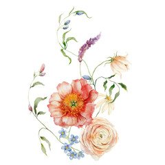 Watercolor bouquet of peonies, ranunculi, forget-me-not and leaves. Hand painted card of floral elements isolated on white background. Holiday flowers Illustration for design, print or background. - 734902055