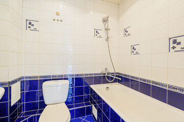 interior apartment room bathroom, sink, decorative elements, toilet. WC, sanitary unit, wash room
