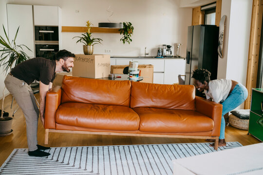 Happy multiracial couple keeping sofa on carpet in living room at new home