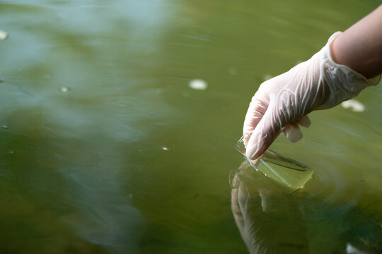 Sampling water for testing. Study of the quality of waste and drinking water. Water analysis