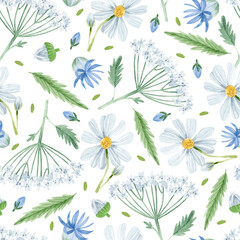 Fototapeta na wymiar Watercolor chamomile, yarrow and cornflower seamless pattern