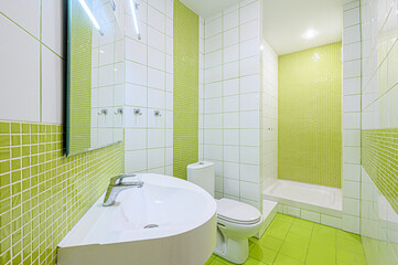 interior apartment room bathroom, sink, decorative elements, toilet. WC, sanitary unit, wash room