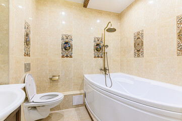 interior apartment room bathroom, sink, decorative elements, toilet. WC, sanitary unit, wash room