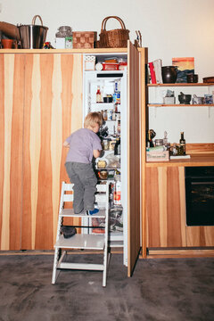 Rear view of boy standing on ladder and searching in refrigerator at home