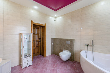 interior apartment room bathroom, sink, decorative elements, toilet. WC, sanitary unit, wash room