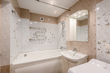 interior apartment room bathroom, sink, decorative elements, toilet. WC, sanitary unit, wash room