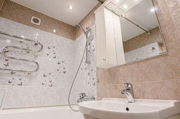 interior apartment room bathroom, sink, decorative elements, toilet. WC, sanitary unit, wash room