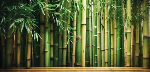bamboo fence background, empty space surrounded with green bamboo leaves
