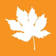 Maple white leaf vector illustration on orange