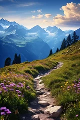 Poster a path through a mountain © Stegarescu