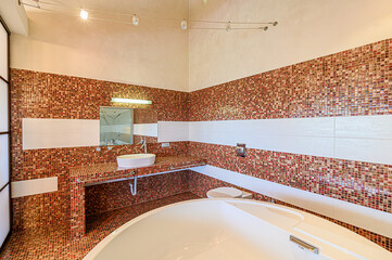 interior apartment room bathroom, sink, decorative elements, toilet. WC, sanitary unit, wash room