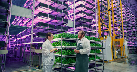 Caucasian Agricultural Engineer and Female Scientist Discussing Basil Leaves Quality on Vertical Farm With Neon Led Lights. Gardening Expert Providing Advice for Growing Sustainable Green Produce.