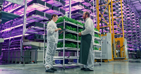 Agricultural Engineer and a Female Scientist Discussing Basil Leaves Quality on Vertical Farm With...