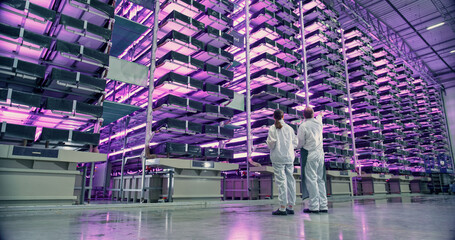 Work at an Advanced Vertical Farm WIth LED UV Lights. Two Facility Workers Discussing Business,...