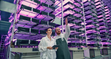 Technological Agriculture Center with Automated Hydroponics System. Operators Organizing Workflow, Using Software on a Tablet Computer and Chatting About Work. Modern Indoors Vertical Farm Operations