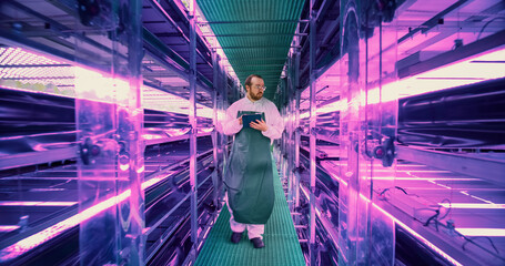 Farming Technician Walking Between Rows of Produce at Modern Vertical Farm With Neon Lights. Young...