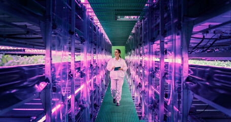 Female Hydroponics Specialist Walking in a Vertical Farm Corridor with LED Lights Illuminating the...