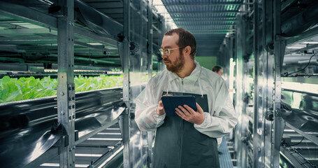 Biology Scientist Working in a Vertical Farm Facility Next to Rack with Natural Eco Plants. Farming Engineer Using Tablet Computer, Organizing and Analyzing Crops Information Before Distribution