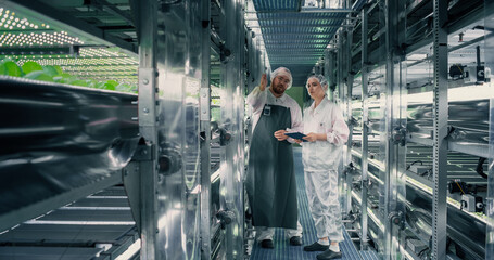 Agricultural Engineer and Biologist Having a Conversation at a Vertical Farm, Discussing Production...
