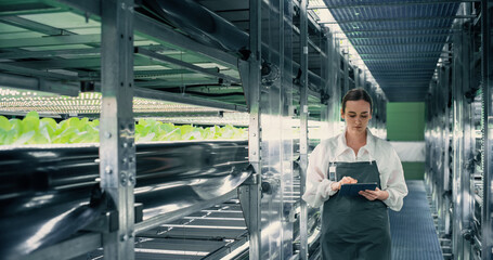 Biology Scientist Working in a Vertical Farm Next to Rack with Natural Eco Plants. Female Farming Engineer Using Tablet Computer, Organizing and Analyzing Crops Information Before Distribution