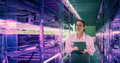 Young Female Farmer Working in a Vertical Farm with Ultraviolet LED Lights. Hydroponics Specialist...