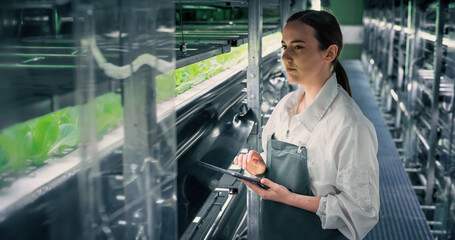 Agricultural Grower Working in a Corridor in a Vertical Farm Facility Next to Rack with Freshly Grown Plants. Female Hydroponics Technician Using Tablet Computer, Studying and Cultivating Crops