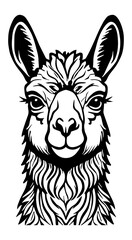 Head of a Cute Alpaca Illustration