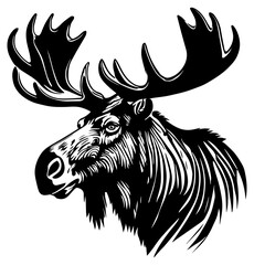 Bull Moose Head Illustration