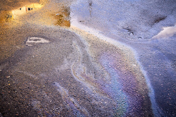 A colorful stain of engine oil on the road.