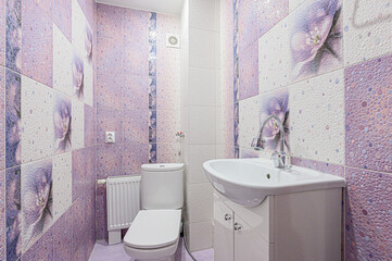 interior apartment room bathroom, sink, decorative elements, toilet. WC, sanitary unit, wash room