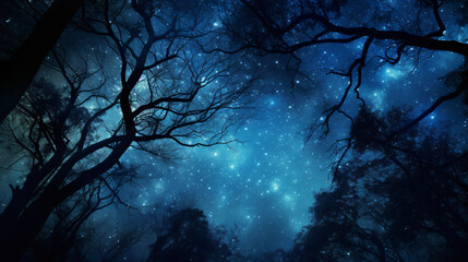 Beautiful Night Sky: The Milky Way and the Trees