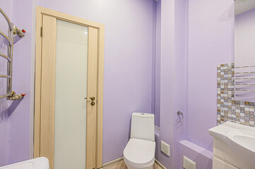 interior apartment room bathroom, sink, decorative elements, toilet. WC, sanitary unit, wash room