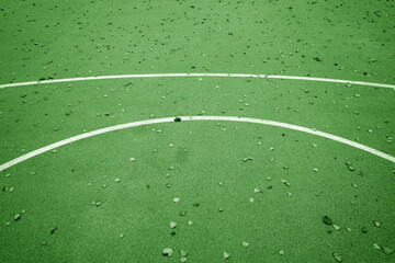 Green basketball court in autumn with fallen leaves on it.