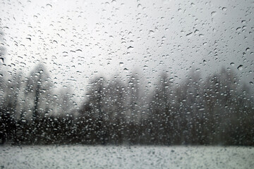 View on winter trees through wet windshield with rain drops.