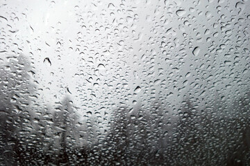 View on winter trees through wet windshield with rain drops.